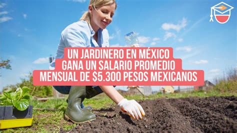 Cuánto Gana Un Jardinero En México Funciones Perfil Y Más