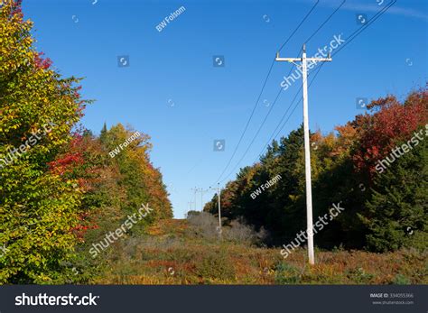 Rural Power Lines Cut Through Forest Stock Photo 334055366 Shutterstock
