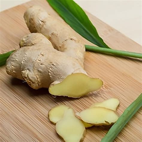 Culinary Ginger Zingiber Officinale Ginger Rhizomeszingiber