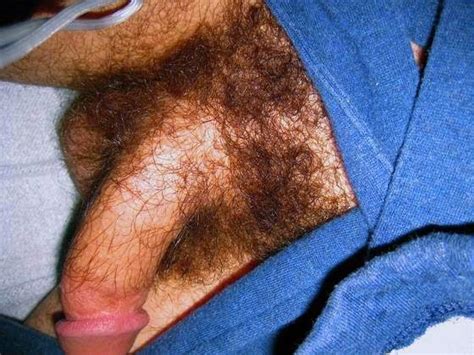 Hairy Cocks Tumblr Jackinchat Free Masturbation Community For Adults