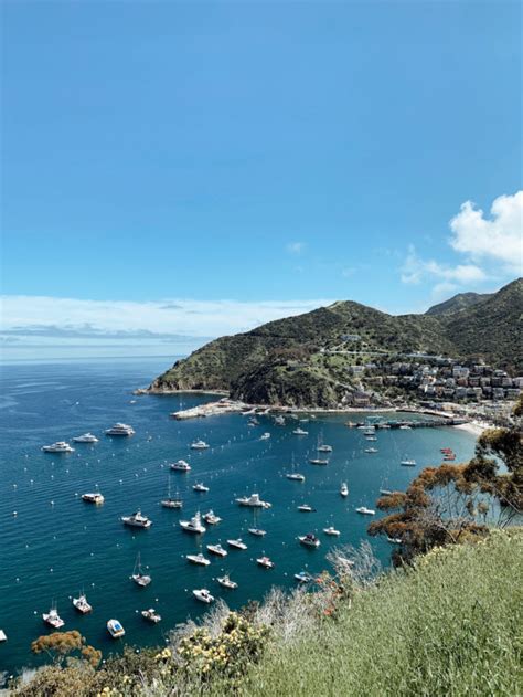 The Getaway Guide To Catalina Island Love And Loathing La