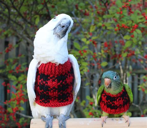 Buffalo Plaid Bird Feather Sweater Hand Knit Bird Sweater Etsy