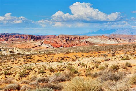 Northern Nevada Stock Photos Pictures And Royalty Free Images Istock