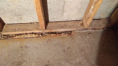 We did not find results for: 19 Beautiful Moisture Barrier For Basement Floor ...