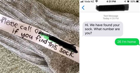 new zealand cat thief has been stealing neighbors socks for years the dodo