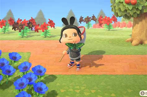 Animal Crossing New Horizons Bug Guide And Complete List Polygon
