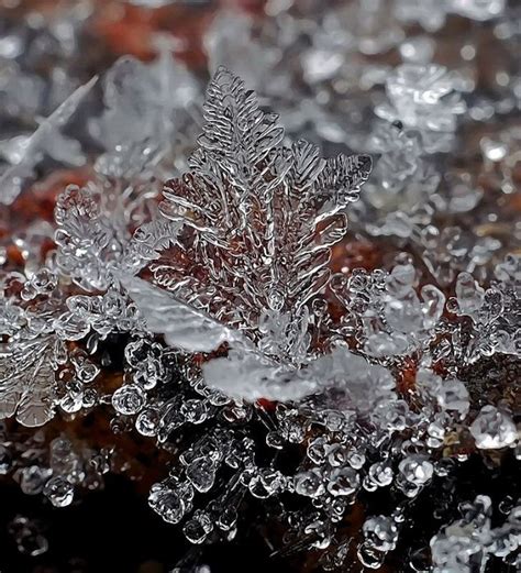 Macro Photographs Of Snow Crystals And Snowflakes