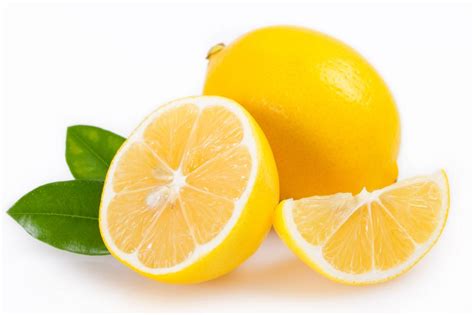 Improved Meyer Semi Dwarf Lemon Tree For Sale Four Winds