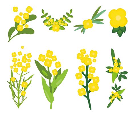 Flores Amarillas Vectores Iconos Gráficos Y Fondos Para Descargar