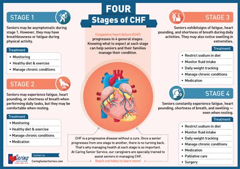 Infographic 4 Stages Of Congestive Heart Failure Chf