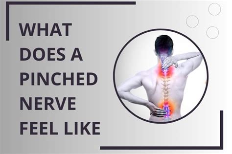 Pinched Nerve Symptoms Causes And Treatment Options