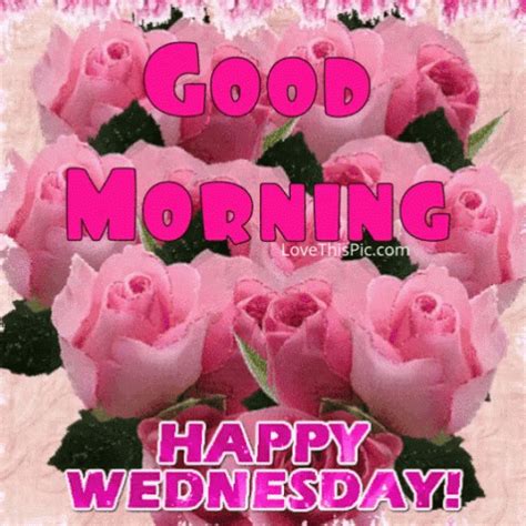 Good Morning Happy Wednesday GIF Good Morning Happy Wednesday