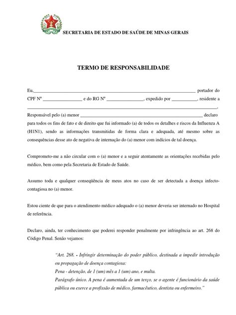 Termo De Responsabilidade Pdf Estatuto Adolescência