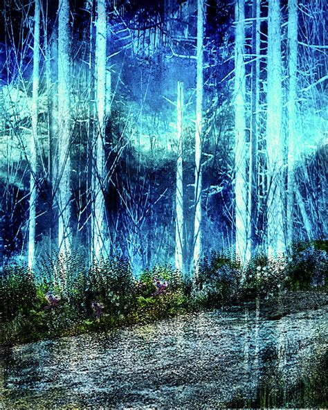 A Magical Forest Digital Art By Edith Hicks