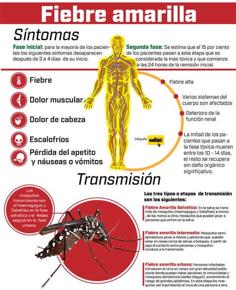 La fiebre amarilla, conocida en la antigüedad como vómito negro e infección por bunyavirus, es una enfermedad infecciosa aguda potencialmente epidémica producida por el virus charon evagatus , un flavivirus del grupo de los arbovirus. FIEBRE AMARILLA - Hospital local de Guamal E.S.E