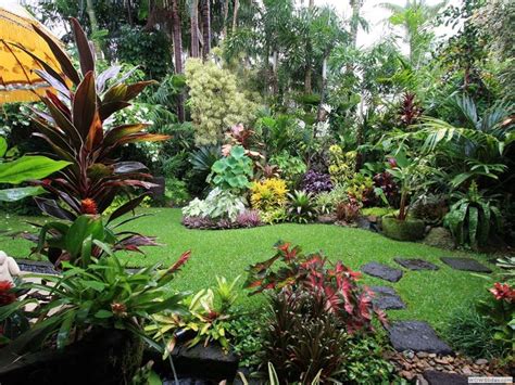 Dennis Hundscheidts Tropical Garden Queensland Superb Im In