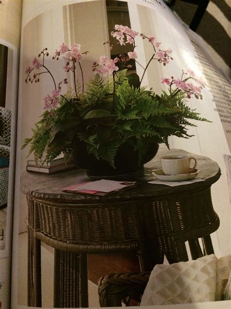 Martha Stewart Mag Ferns And Orchids Table Decorations Decor