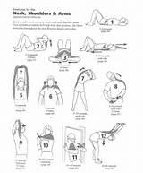 Fitness Exercises Neck Pictures