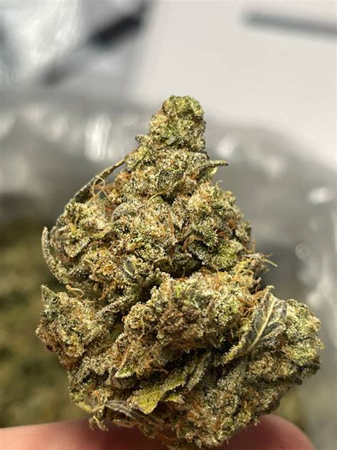 Buy Gorilla Glue 4 Strain Online Puffins La Exotics