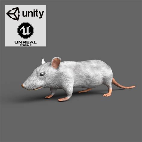 Low Poly White Mouse Vr Ar 3d Model Cgtrader