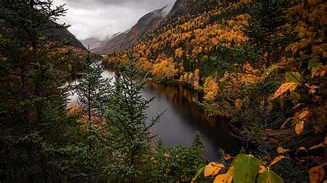River Between Yellow Green Autumn Trees Slope Mountain With Fog Autumn