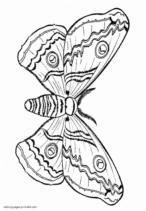 Some of the coloring page names are miraculous ladybug and cat noir coloring, miraculous ladybug and cat noir coloring, miraculous ladybug and cat noir coloring, miraculous ladybug cat noir coloring fun for kids, december 2019s archives 2 paw patrol, december 2019s archives 2 paw patrol, miraculous. Coloring page of the moth || COLORING-PAGES-PRINTABLE.COM