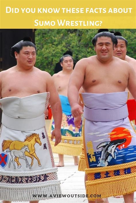How To Watch Sumo Wrestling In Japan In 2022 Japan Travel Scrapbook