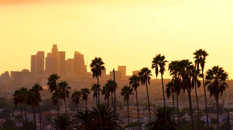 Downtown Los Angeles Cityscape At Sunset Stock Footage Sbv 319760759