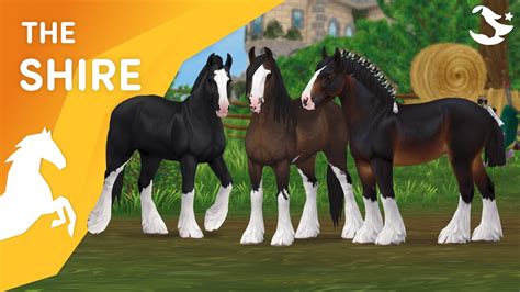 The Magnificent Updated Shire Star Stable Horses Youtube