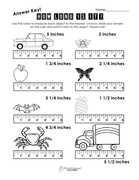 11 Best Images of Kindergarten Measurement Worksheets Free Printable ...