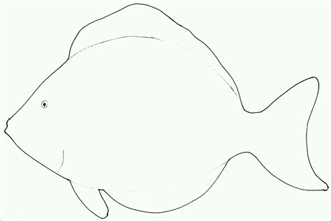 Der käuferschutz ist deine absicherung, wenn eine ware nicht ankommt, beschädigt ist oder nicht der beschreibung entspricht. Einzahl Fisch Vorlage Zum Ausschneiden Hübsch Fische ...