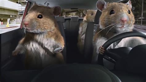 Kia Soul Hamster Commercial 2010 Youtube