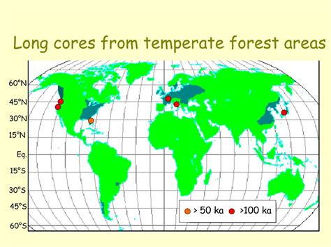 Ppt Quaternary Environments And N Hemisphere Temperate Forests