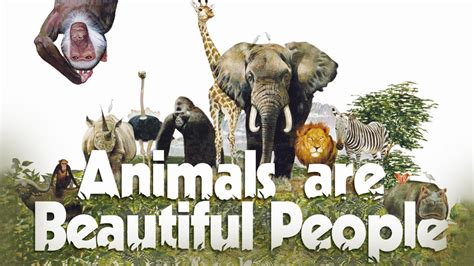 The Hilarious Comedy Documentary Animals Are Beautiful People Shows At