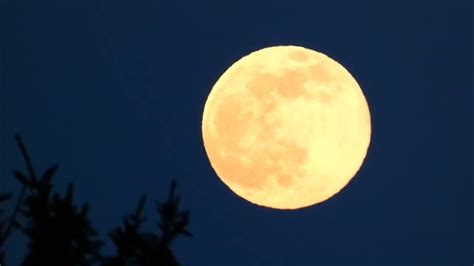 Heute Abend Vollmond Mondphase Mondaufgang Schneemond 0502 Mond