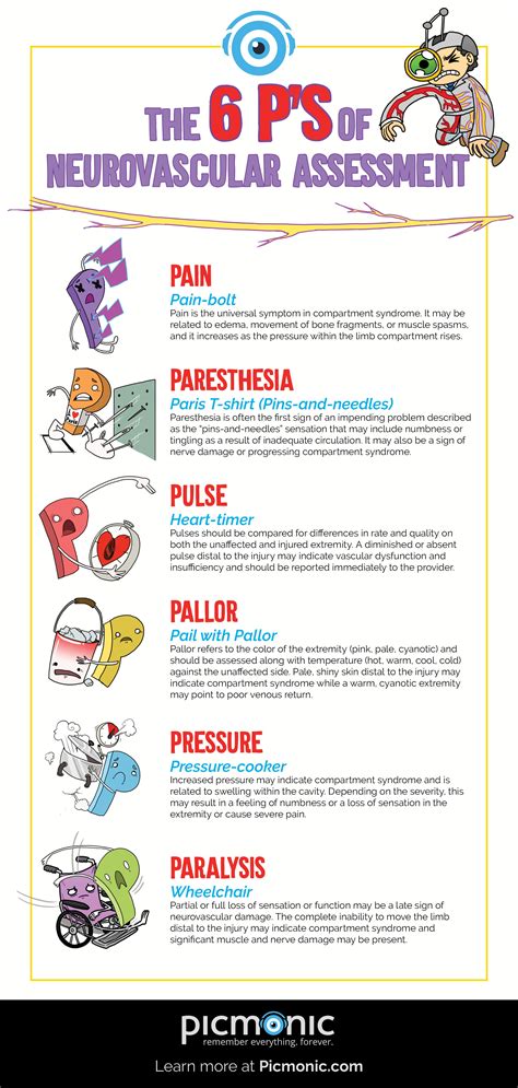 Infographic How To Study Neurovascular Assessment P S Nurse