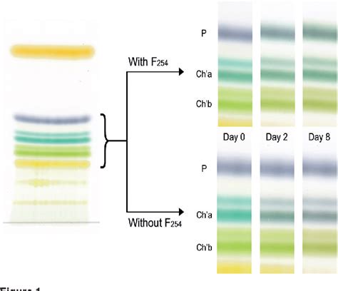 Figure 1 From Thin Layer Chromatography Of Green Leaves Extracts Zinc