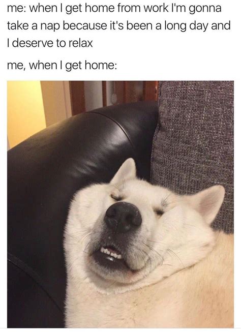 The only thing more healthy is possibly laugther. The 50 Best Clean And Wholesome Memes | 50 Best- Part 5