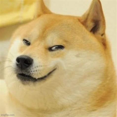 Angry Doge Meme Template Memesportal