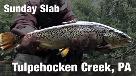 Fly Fishing Sunday Slab Tulpehocken Creek Pa Wooly Bugged Youtube