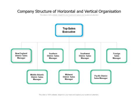 Company Structure Of Horizontal And Vertical Organisation Templates