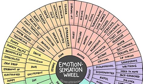 Emotion Sensation Feeling Wheel Handout By Lindsay Braman