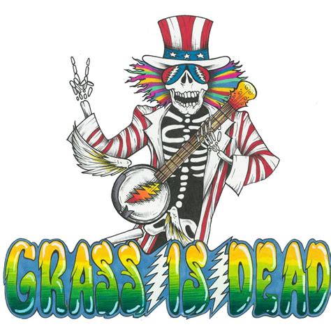 Grateful Dead Tribute Bands In The Usa