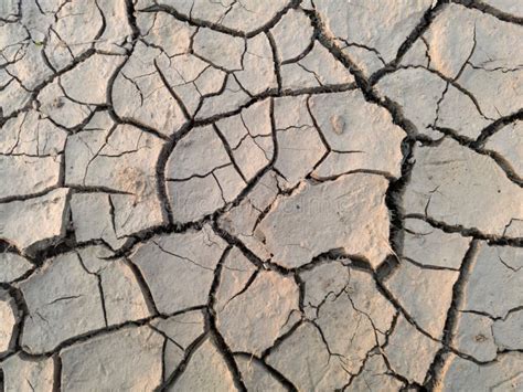 Barren And Drought Land Stock Photo Image Of Clump 141508828