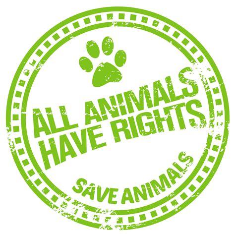 Tips On Writing An Essay On Animal Rights Top Inspirations
