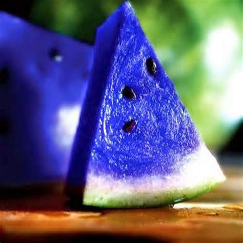 Blue Watermelon Youtube