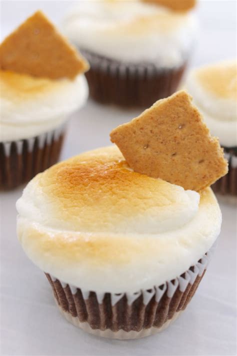 Mix flour mixture into shortening mixture gradually. Small-Batch Cupcakes Made in a Toaster Oven: 3 Bold ...