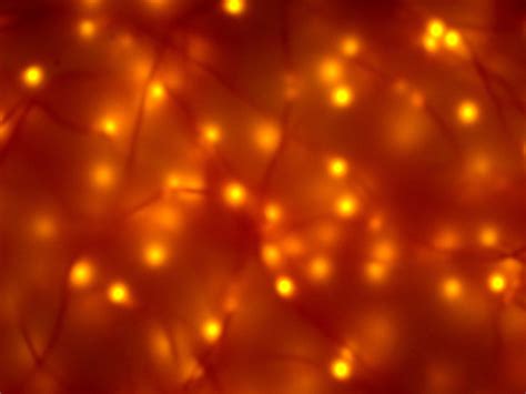 Neon Orange Backgrounds (47+ pictures)