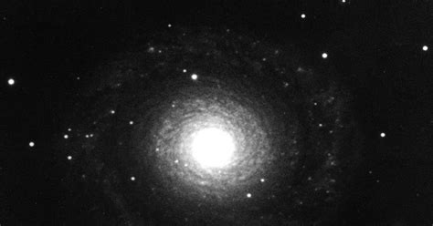 Palomar Skies Astrophoto Friday Spiral Galaxy Ngc 7217