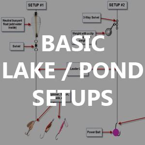 How to set up a fishing pole for bass fishing: Best Fishing Pole Setup For Trout - All About Fishing